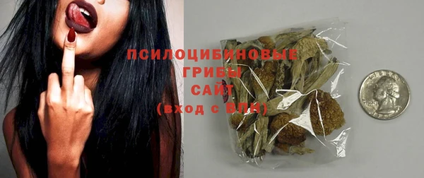 ПСИЛОЦИБИНОВЫЕ ГРИБЫ Новодвинск