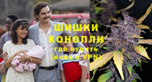 ПСИЛОЦИБИНОВЫЕ ГРИБЫ Новодвинск