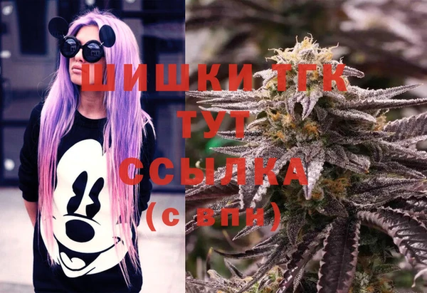 ПСИЛОЦИБИНОВЫЕ ГРИБЫ Новодвинск