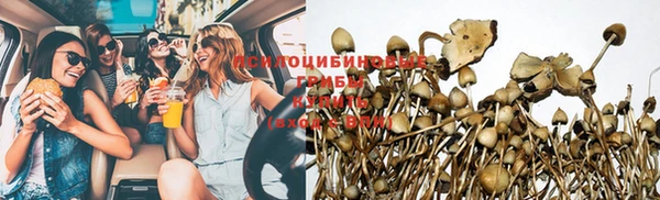 стафф Нефтегорск