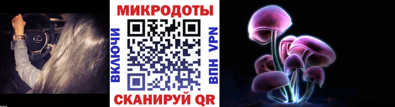 Псилоцибиновые грибы Psilocybe  mega ссылка  Котово  цена  